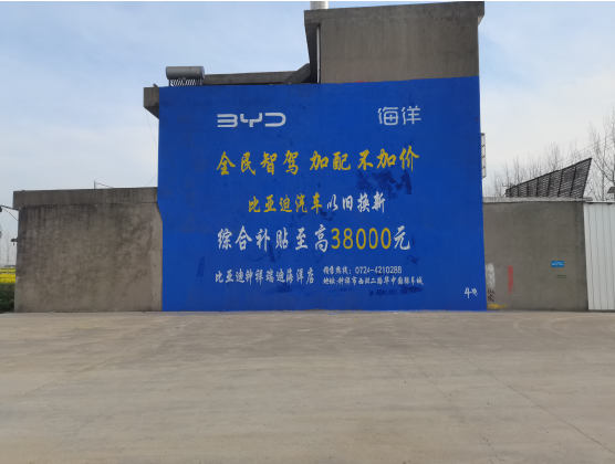 桐柏墙固是否有必要刷？