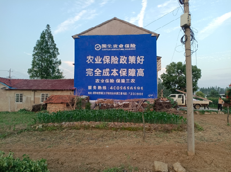 桐柏墙体广告为何受追捧？