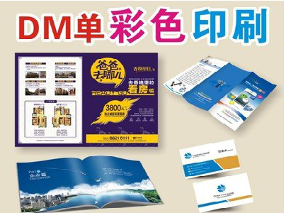 桐柏单页印刷，色彩搭配简单。